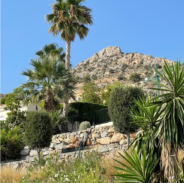 web1 altea
